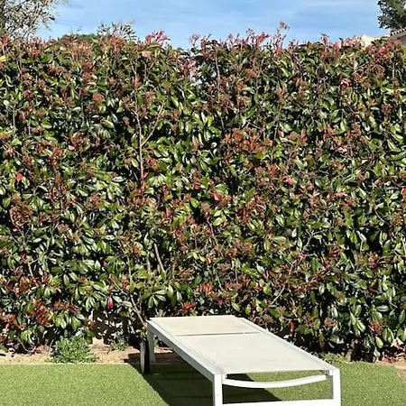 Golfe De Saint Tropez Villa Cogolin