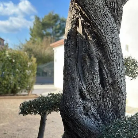 Golfe De Saint Tropez *