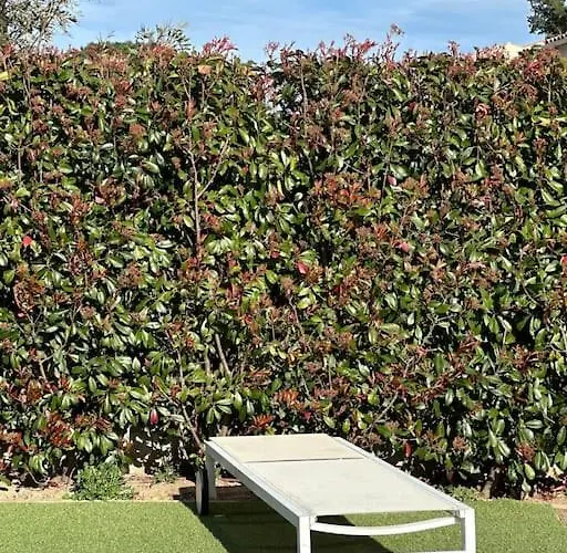 Golfe De Saint Tropez Villa Cogolin