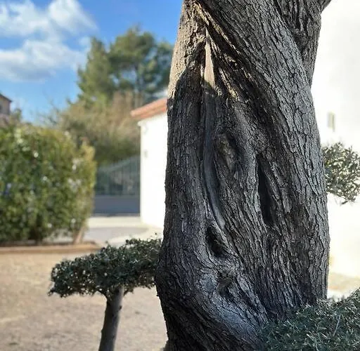 Golfe De Saint Tropez *