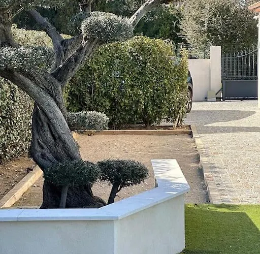 Golfe De Saint Tropez *