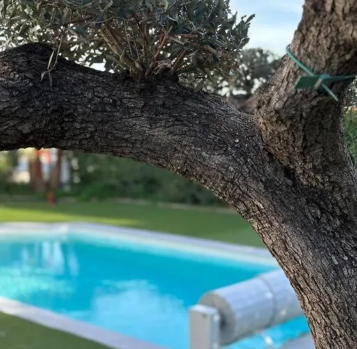 Villa Golfe De Saint Tropez Cogolin