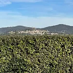 Golfe De Saint Tropez