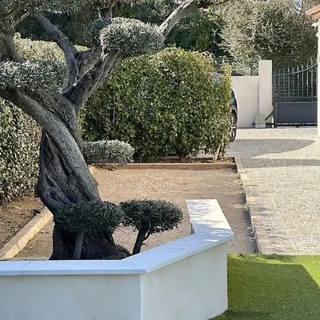 Golfe De Saint Tropez *