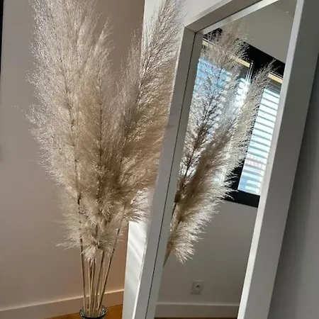 Golfe De Saint Tropez Cogolin